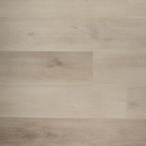 Douwes Dekker - Ambitieus - Riante plank pepermunt 04744 (Plak PVC) - afbeelding 1