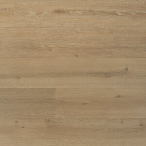 Douwes Dekker - Trots - Solide plank laurier 04682 (Laminaat) - afbeelding 1